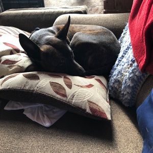 Meet your Posher, Keith